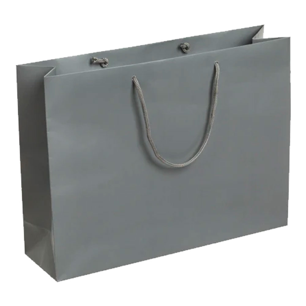 Pack of 100 Large Landscape Grey Boutique Carrier Bags With Rope Handles