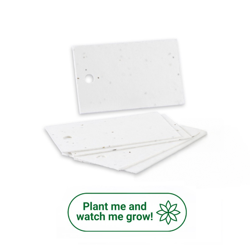 Pack of 10 Rectangular White Plantable Tags