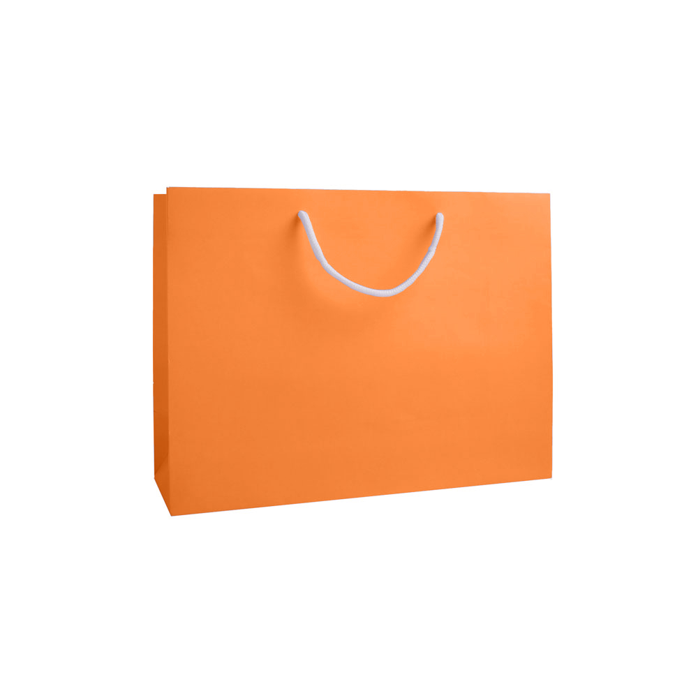 Orange Large Landscape Paper Gift Bag