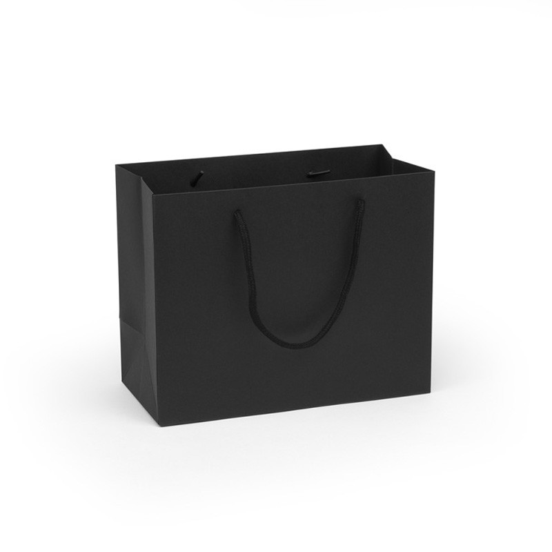 Medium Landscape Black Paper Gift Bag With Rope Handles
