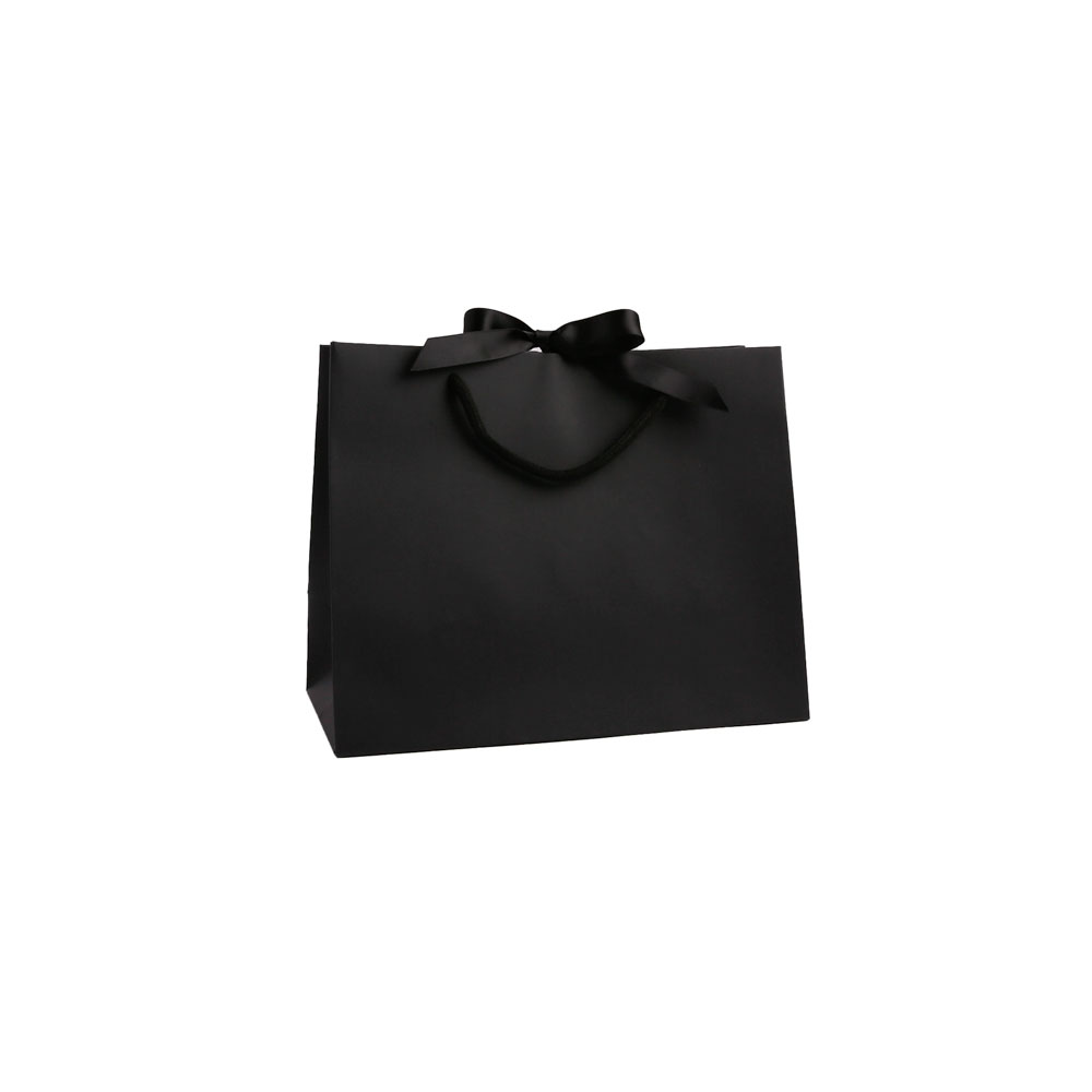 Medium Landscape Black Paper Gift Bag With Rope Handles and Ribbon 