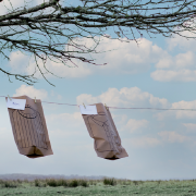 Compostable Mailing Bags