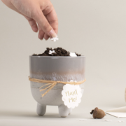 Plantable Seeded Paper