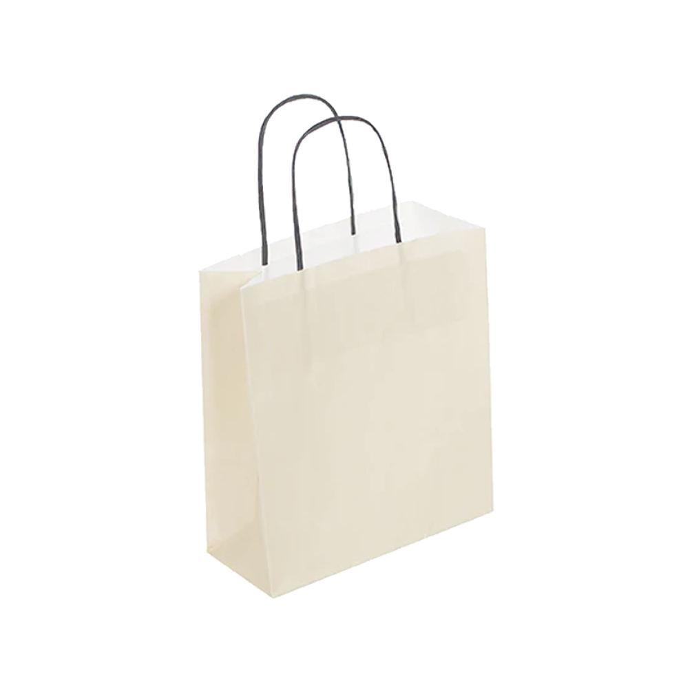 Pack of 25 Small Cream Paper Gift Bag With Paper Twisted Handles