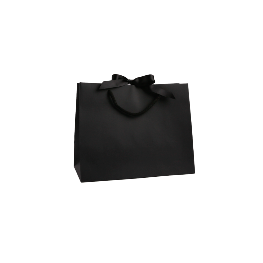 Medium Landscape Paper Gift Bag With Rope Handles and Ribbon