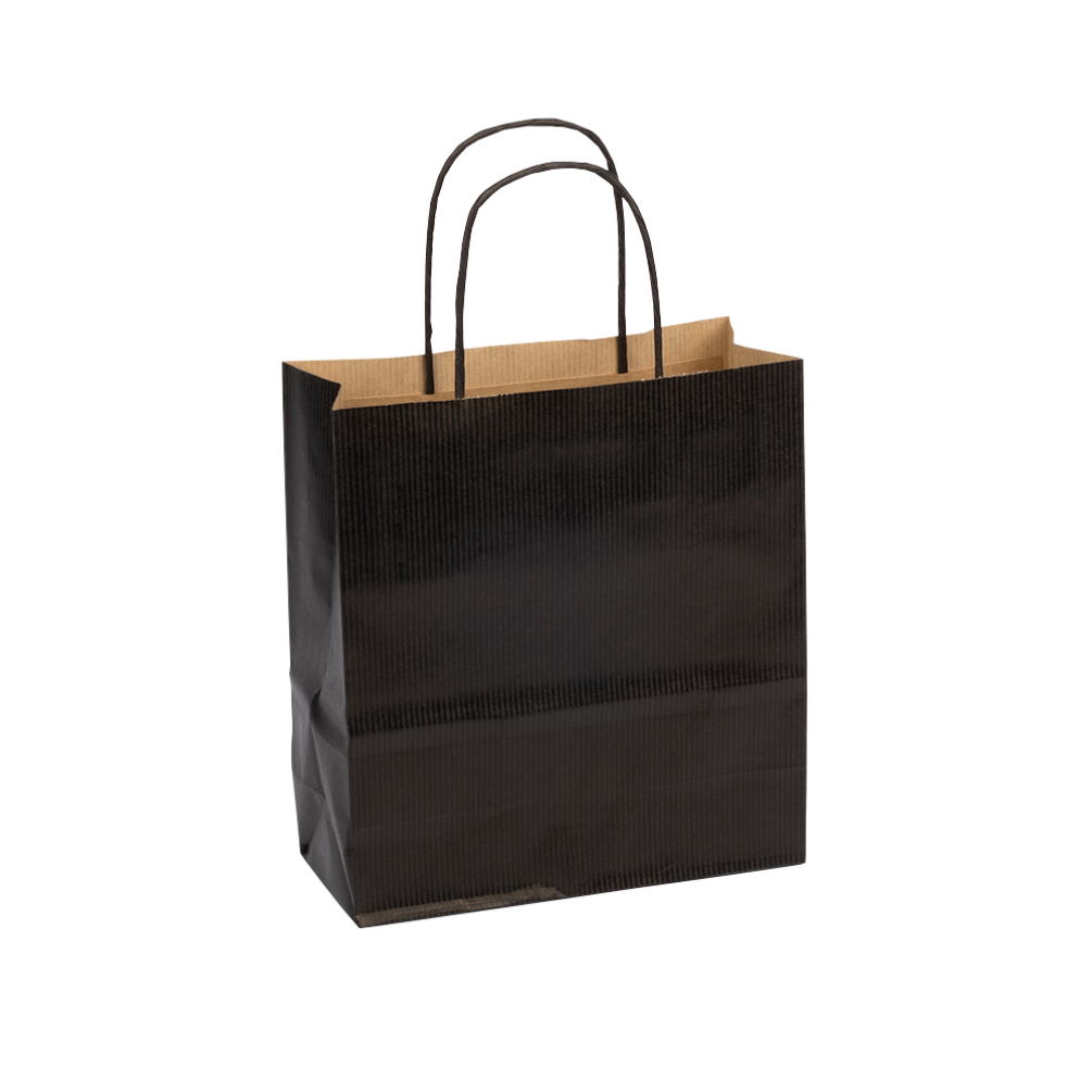 Small Black Paper Gift Bag With Paper Twisted Handles