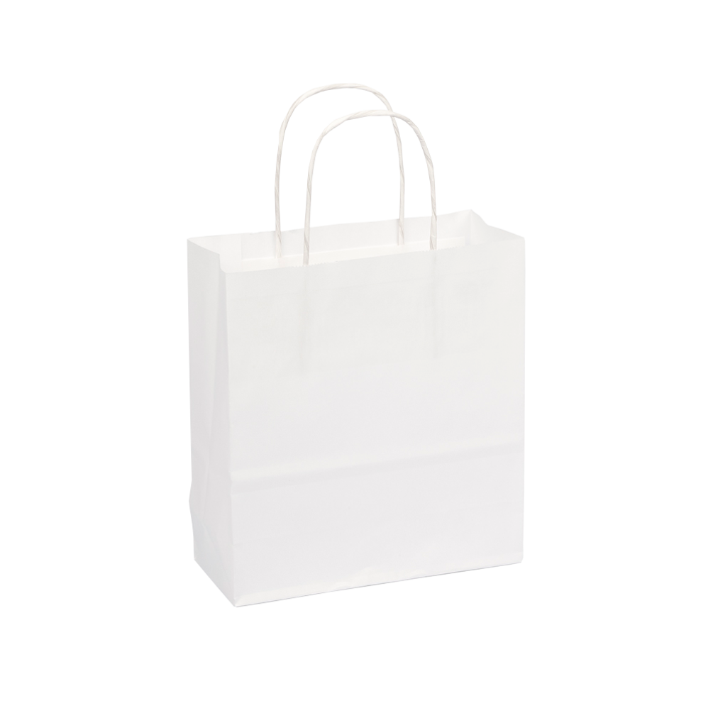 Small White Paper Gift Bag With Paper Twisted Handles