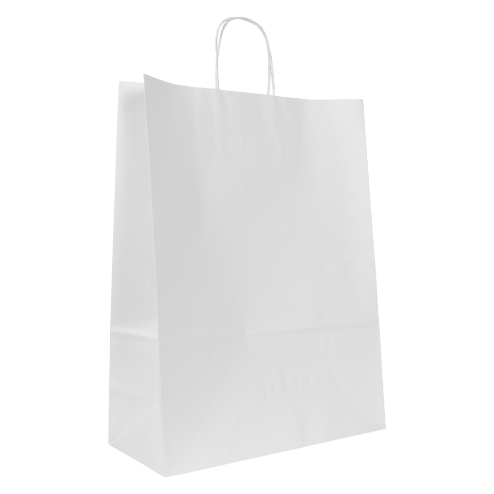 Large White Paper Gift Bag With Paper Twisted Handles